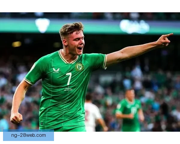 爱尔兰人弗格森苦难传奇录人生